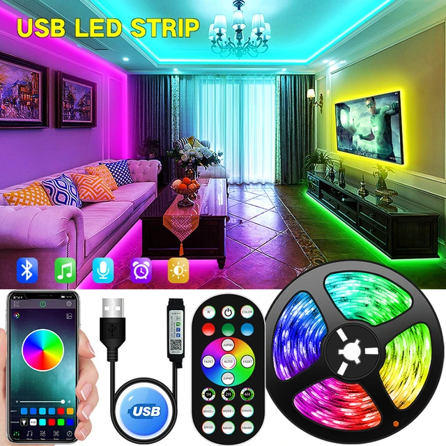 Tira de luces LED con Bluetooth y USB, cinta de diodo Flexible para  decoración de habitación, retroiluminación de TV, RGB 5050, 5V - AliExpress