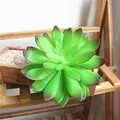 Large Lotus Green