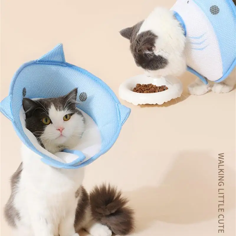 고양이 조절 가능한 목걸이 모자, 긁힘 및 감염 방지, 작은 개용 부드러운 엘리자베스 칼라, 고양이 강아지용 콘 칼라