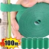 100/2M Plant Nylon Cable Tie Adjustable Self Adhesive Green Plants Hook Loops Garden Twine Bandage Support Fastener Tape Strips 2