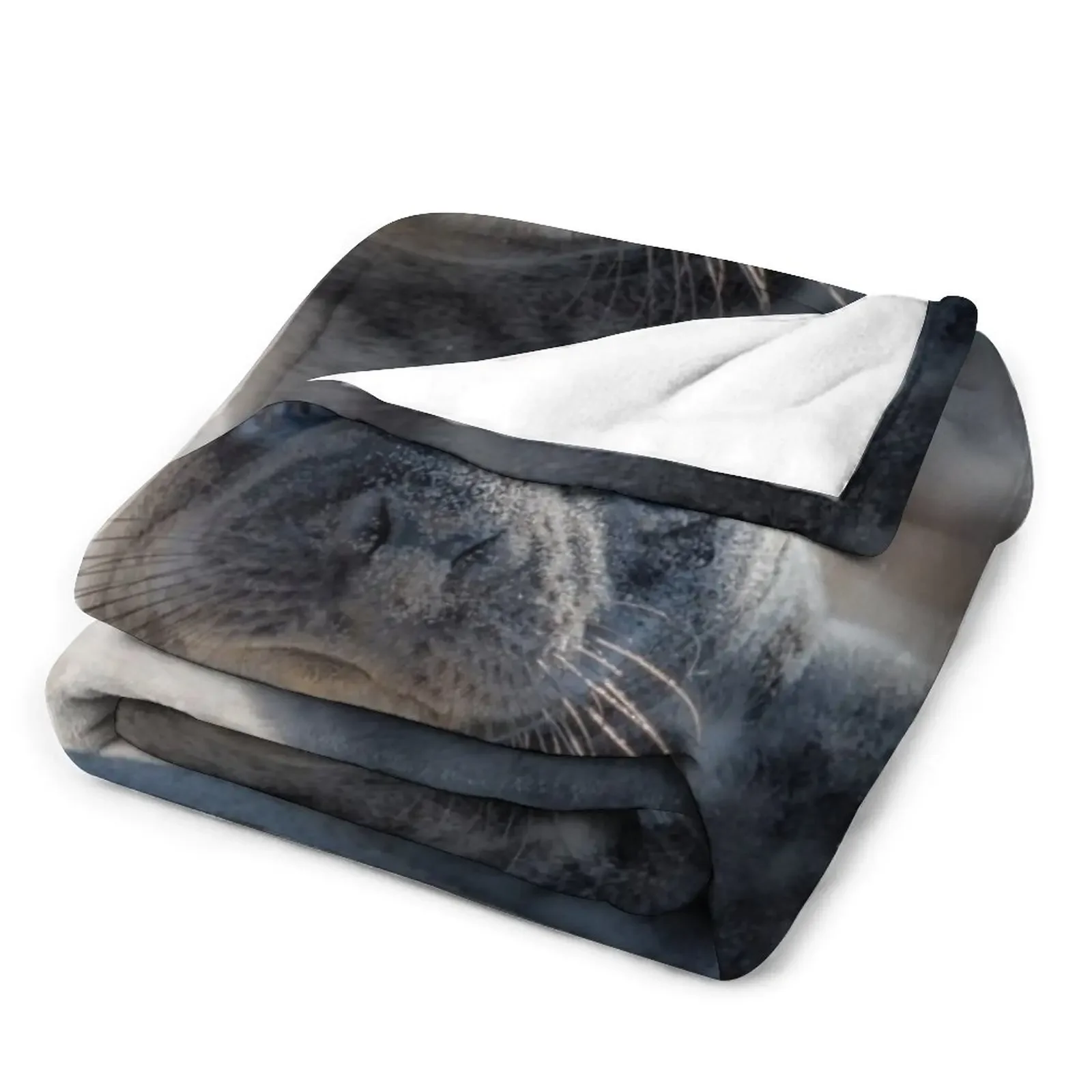 �غ����� ������  ����, ū ���� ���� �� �ٶ󺸰� �ִ� ���, ���Ÿ� �귣��, �ε巯�� ħ��, ����ִ� ���� ���