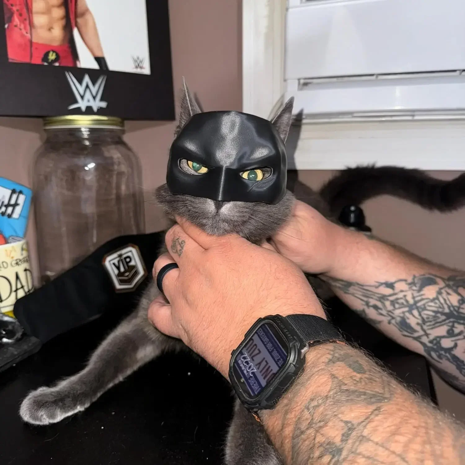 Cat Bat Cool Man Mask Cat Avenger Mask Matte Cute Bat Superhero Toys Halloween Costume Cats Pet Supplies pet mask pet halloween costume cat bat mask