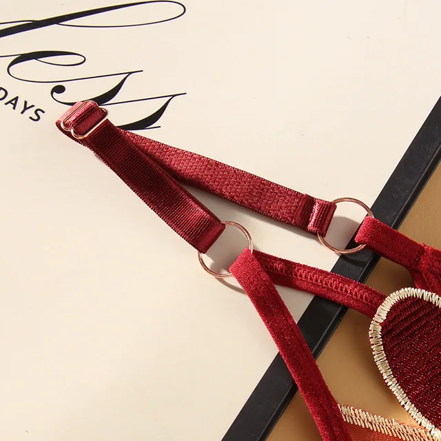 Elegant Embroidered Low-Rise Japanese Thongs for Women’s Lingerie - Image 3