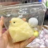 Squishy Chicken Kawaii Handmade Silicone Soft Flocked Yellow Chicken Seal Soft Chicken Kids Birthday Gift Toy Cute Squishy Chick 1