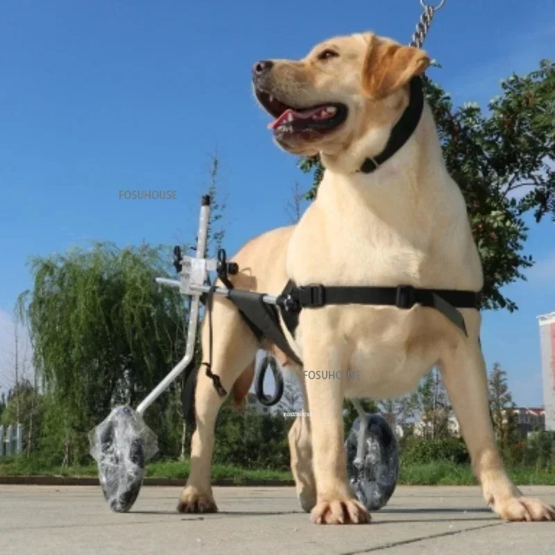 Silla de ruedas grande para perros, entrenamiento para la parálisis por espondilitis