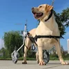 Silla de ruedas grande para perros, entrenamiento para la parálisis por espondilitis