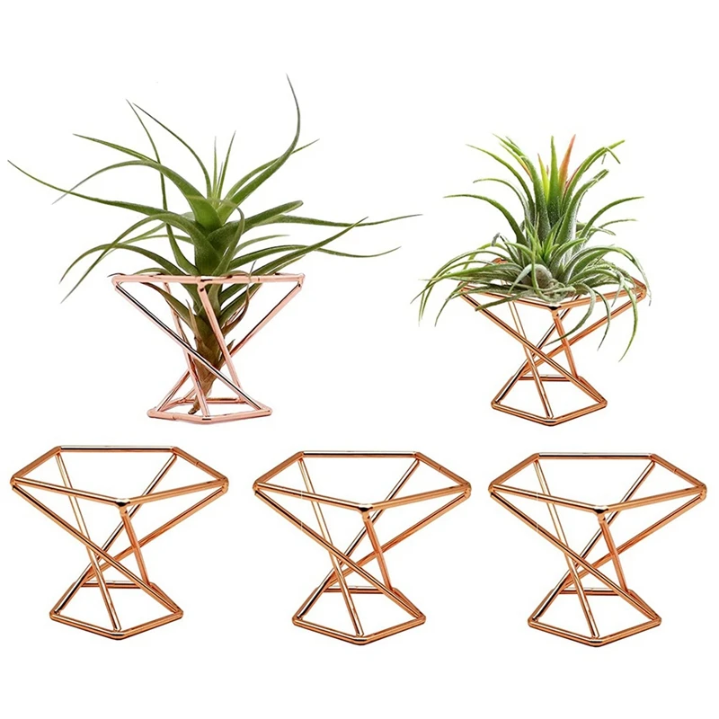 Pack 5 Air Plant Holder Tillandsias Display Purifying Plant Container Fern Stand Plant Stand