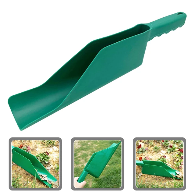 TEAL TEASPOON SCOOP - YOUR LEAF YOUR LIFE