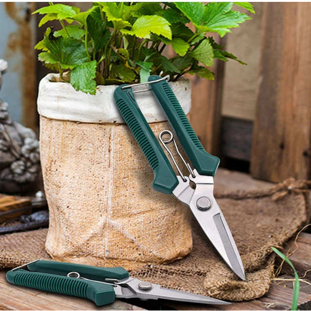 Garden Pruning Shears 190mm - Stainless Steel Blade Trimming Scissors for Bonsai Flower Buds Small Plants Scissor Pruning Tool 5