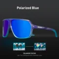 Polarized- 13