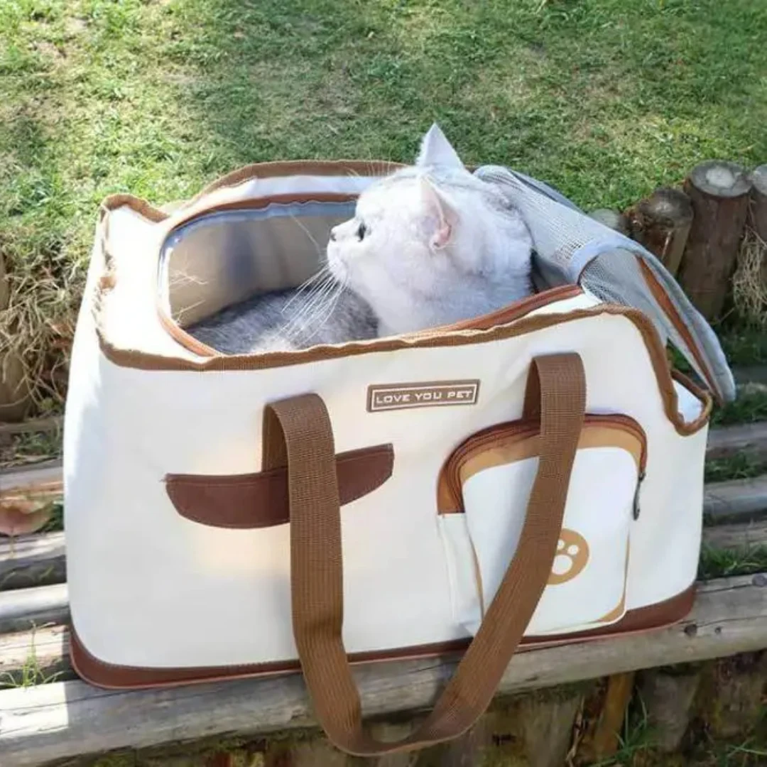 Photo inspiration: Picture Idea: Toast Style Pet Carrier Bag Breathable Foldable Cat Backpack For