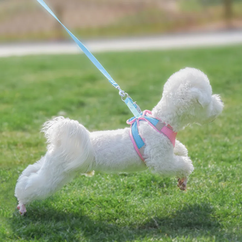 S81faf662ba52498796208d3e29a32f29J