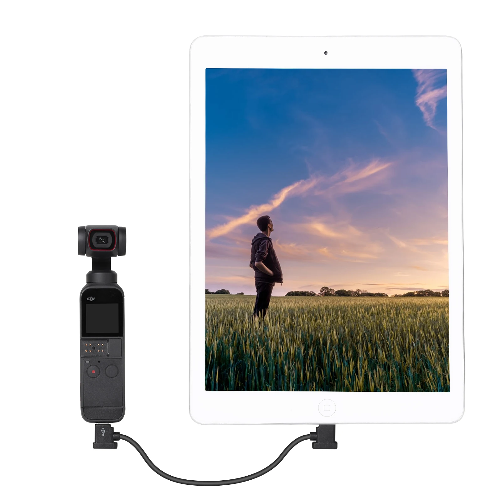 Slide image 9a910aec7fcb477182bf5b3f6a864191