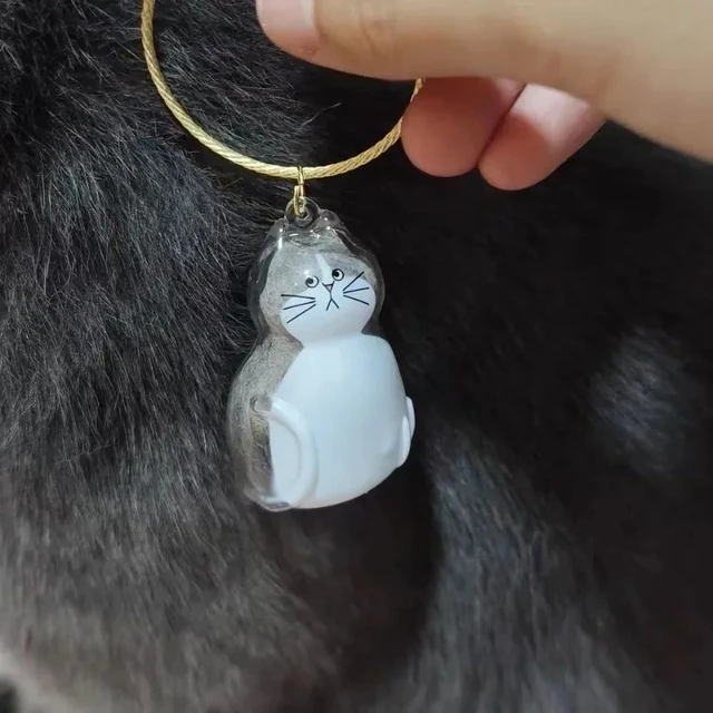 Clear Pet Hair Memorial Box Transparent Keepsake Container for Cat/Dog Fur DIY Display Case for Pet Hair 3