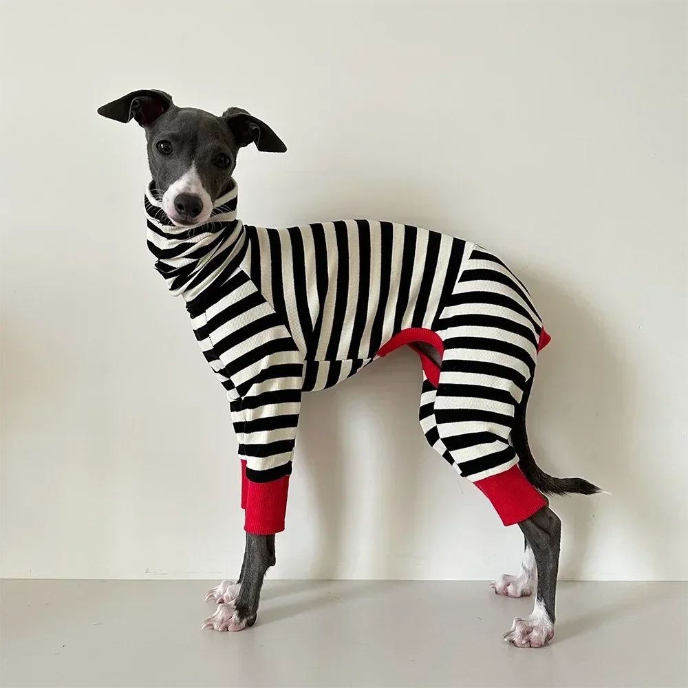 Greyhound Clothes Winter Four-legged Jumpsuit for Italian