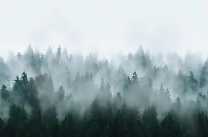 paisagem do inverno cavalo correndo tv fundo estéreo tapety