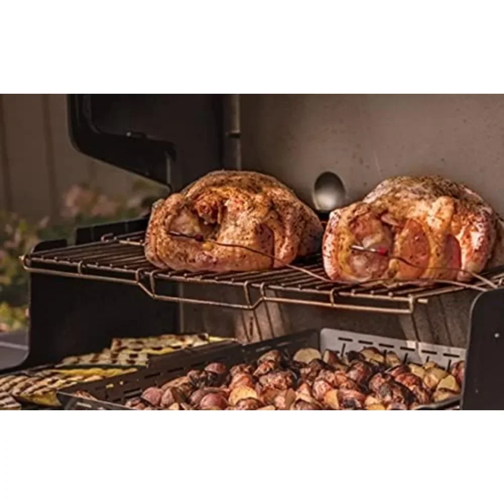 E-435 Liquid Propane Gas Grill, Black 4