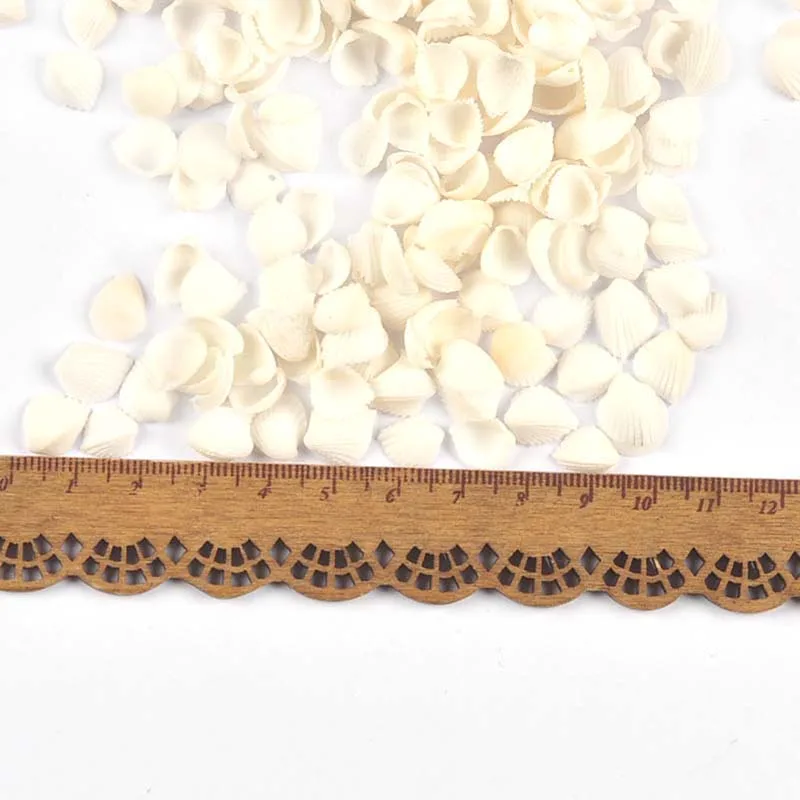 Mini Natural Sector Shells 100pcs for Tank Aquarium Glass Bottle Beach Decor DIY Aquarium Embellishments Crafts Supplies natural shell ornaments