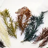 Height 10cm Simulation Long Leaves Reed Grass Model Diy Military Sand Table HO Railway Train Scene Layout Diorama Kits 2
