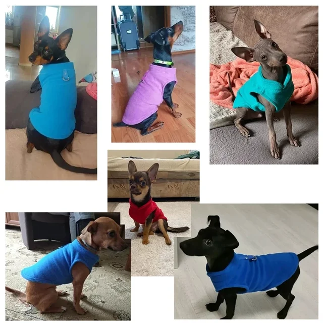 Warm Fleece Dogs Clothes Pet Dog Jacket Vest With D-Ring For Small Dog Cats Clothing French Bulldog Costumes Chihuahua Coat 5