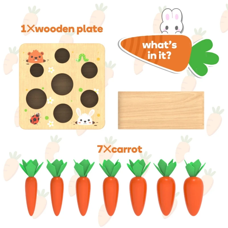 315573_6