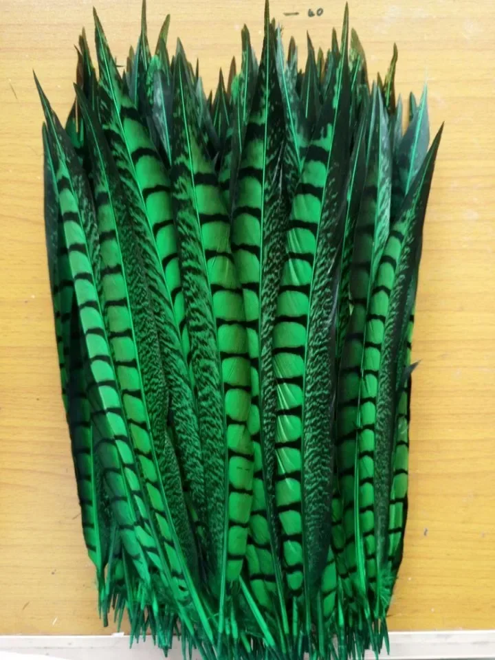 Lady Amherst Pheasant Feathers Emerald Green - 2 To 2.8 In – Authentic Feathers - Foto 9
