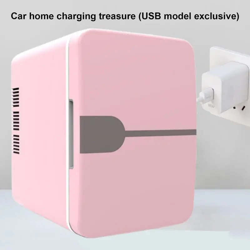 미니 자동차 냉장고, 전기 휴대용 쿨러, 가정 캠핑 여행용 아이스 박스, 12V DC 220V AC, 6L
