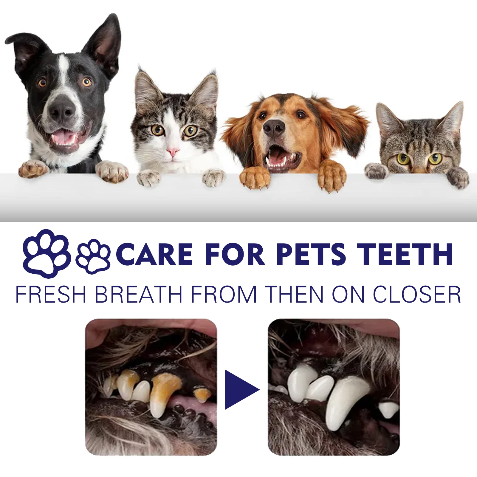 Dogs Cats Pets V34 Cleaning Toothpaste Chiens Things Goods Cats Small Breeds Dental Stone Teeth Clean Fresh breath Pets Supplies