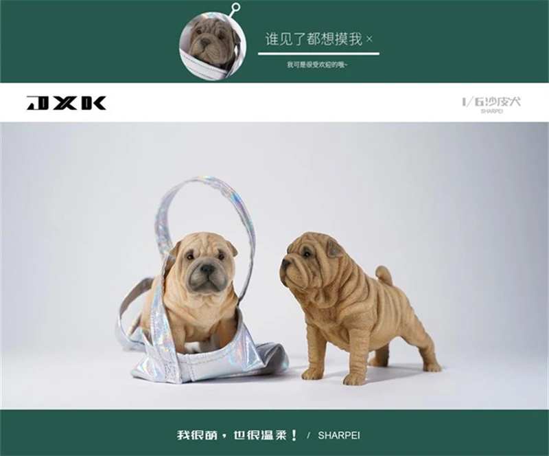 いし犬 JXK 1/6 Sharpei Dog Model – Lana Time Shop