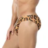 Men's Swimsuit Swim Briefs Panties Sexy Swimwear Bikini Totem Elastic Low Rise Underpants Beach Pool Party Sunbathing Underwear 5