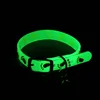 Luminous Cat Necklace Glowing Small Dog Cat Collar Anti-Loss Fluorescent Silicone Cat Bell Collar Neck Ring Pet Cat Accessories 2