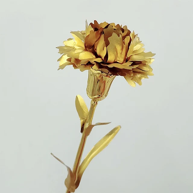 카네이션골드: 부모님께 드리는 최고의 효도 선물, 꼼꼼 사용 가이드와 후기까지!