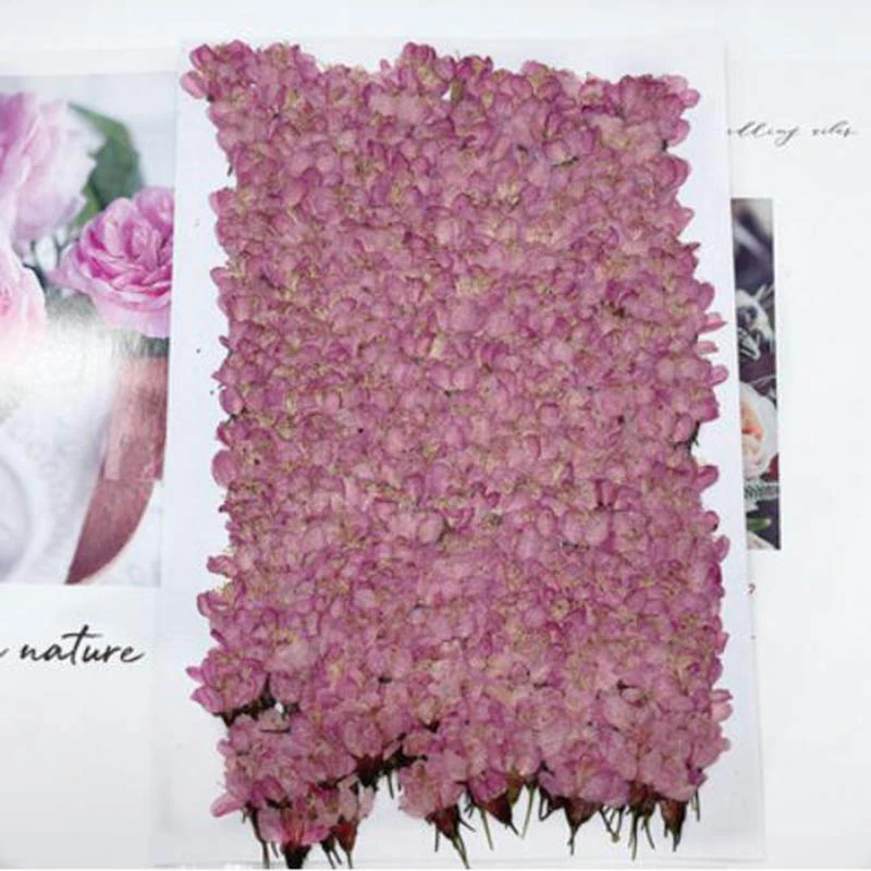 Dried Pressed Flowers Resin Pressed Dried Flowers Frame Dried