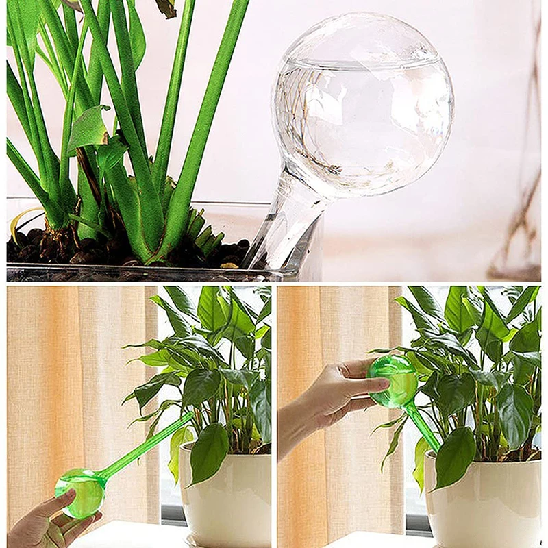 1pc Globes D'arrosage Des Plantes Ampoules D'arrosage - Temu