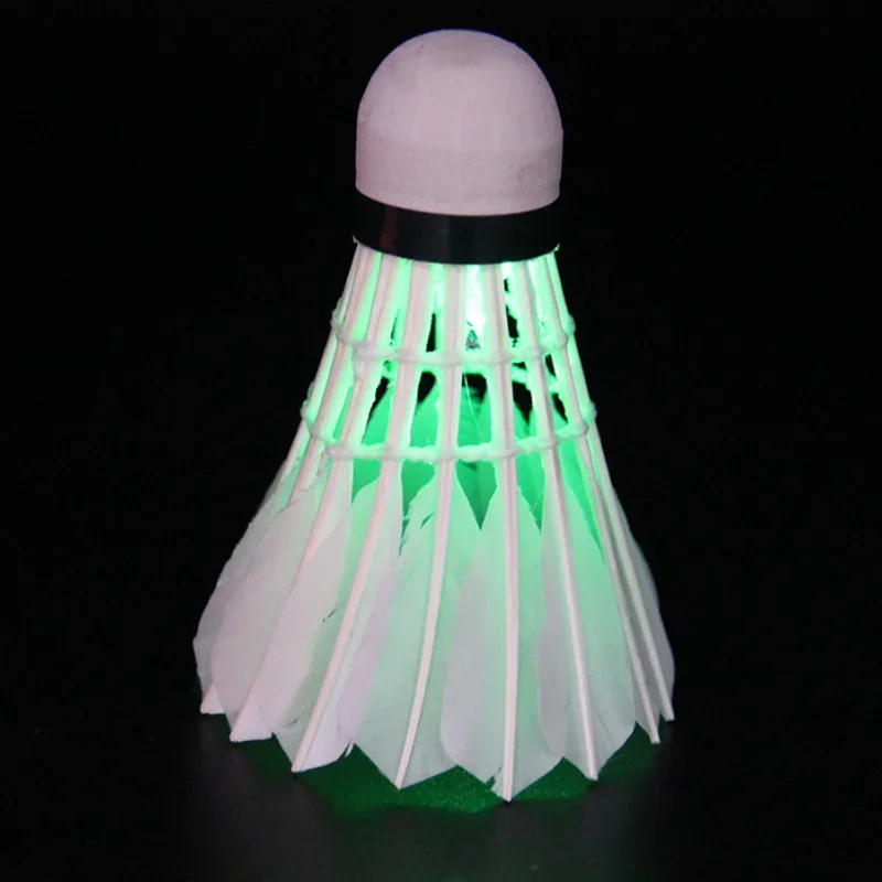 Рисунок 4 - светильник ящийся бадминтон темная