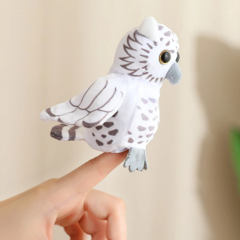 owl