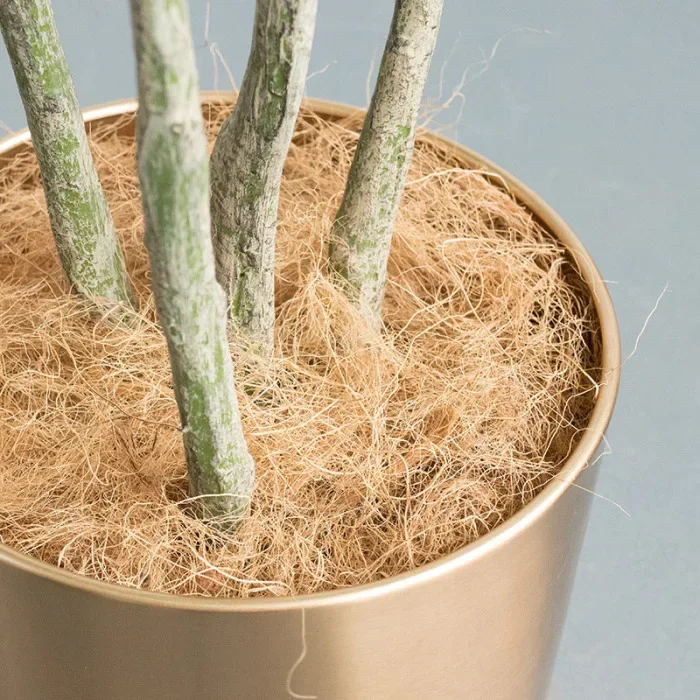 Natural Coconut Husk Fibre for Hydroponics