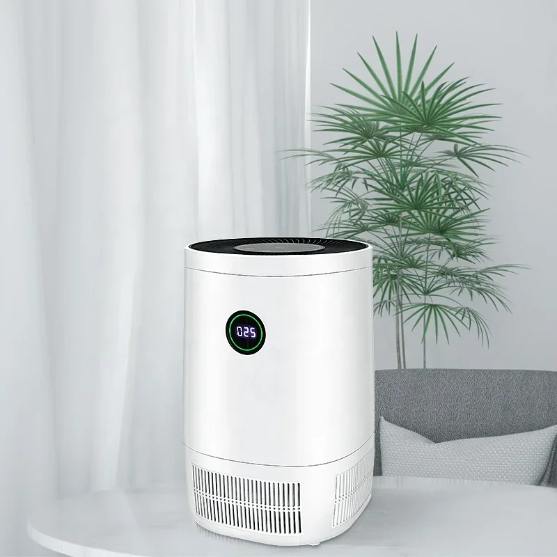 Best personal ionizer best sale