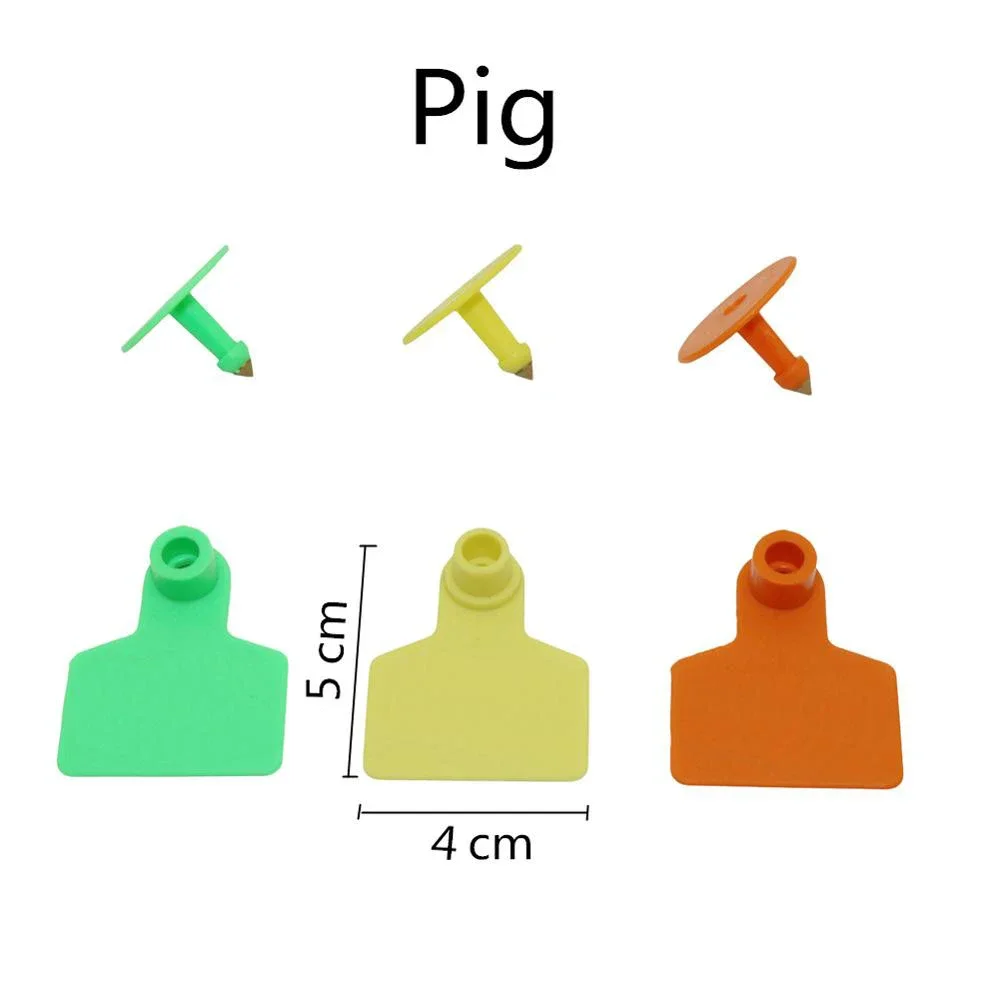 pig