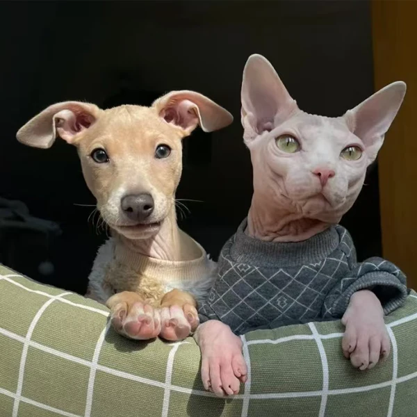 Green Floral Long Sleeves Cotton 4-legged Coat for Sphynx Cat Soft