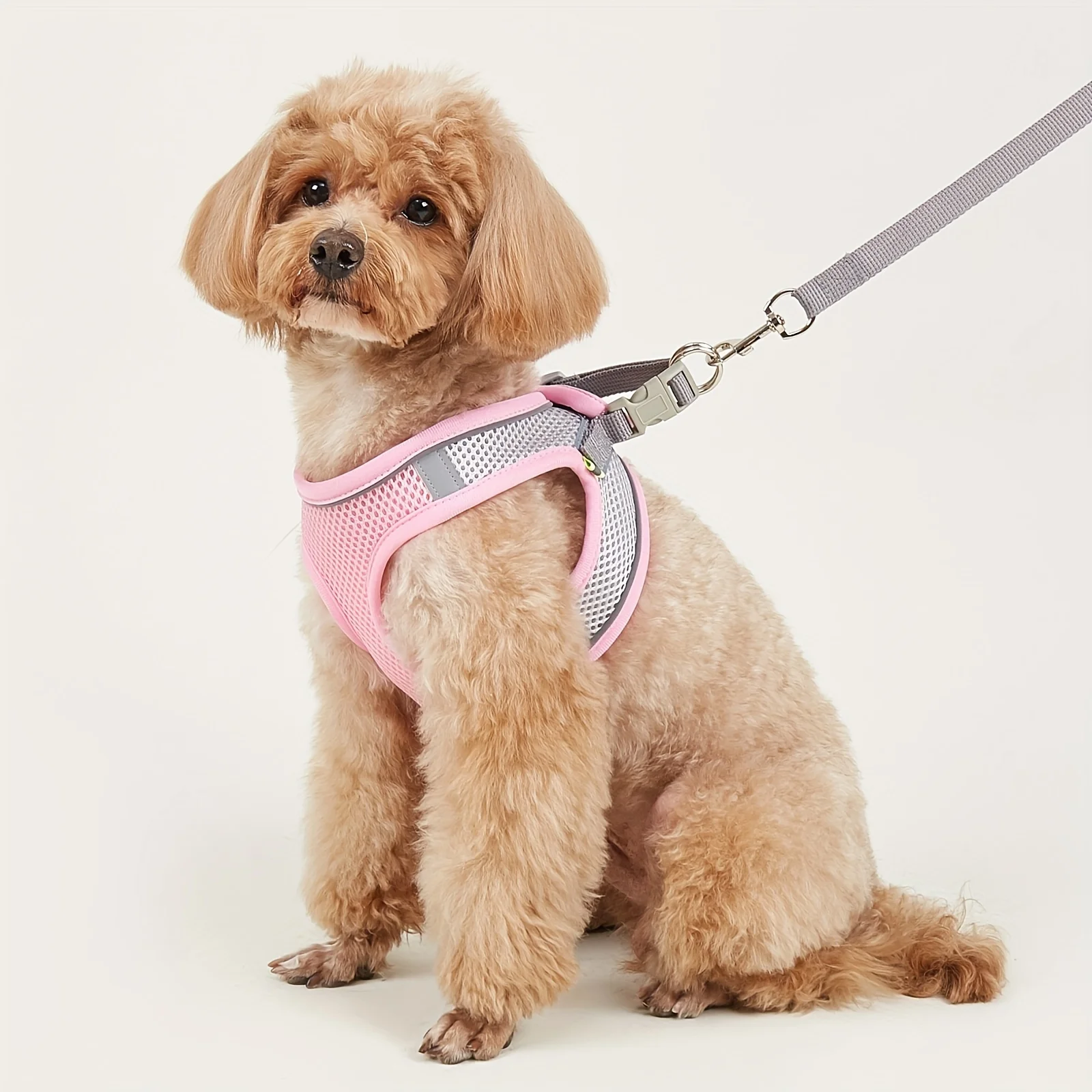 Dog Harness Small Dogs Breast-band Pet Accessories Leash