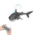 Gray Shark