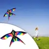 Large Swallow Kite Single Line Vivid for Outdoor Games Activities 4