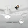 Modern Ceiling Fan, LED Light, DC Motor, High Air Volume Remote Control, Kitchen, Bedroom, Dining Room, Terrace, Pendant Light 4