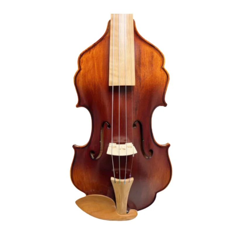 4/4 Violin Without Rib Carved Dragon Scroll No Rib Violin Unique Design