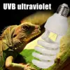 Reptile Heat Bulb Lamp Light High Intensity UVB Light Bulb for Reptiles Amphibian Use Household Breeding Chicken Heating Lamp 1