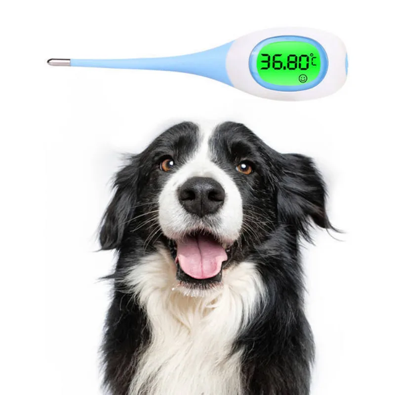 New LED Pet Dog Cat Oral Cavity Armpit ℉/℃ Thermometer Electronic Thermometer 8 Seconds Fast Measurement For Adults Children
