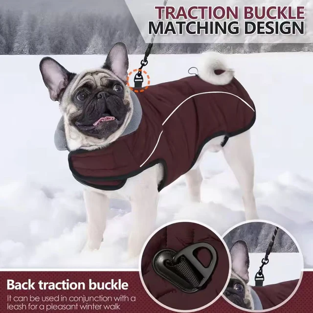 Waterproof Dog Winter Jacket 6