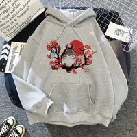 Totoro 0322