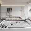 Modern Home Grey Carpets Living Room Decoration Abstract Rugs Light Luxury Sofa Floor Mat Anti-slip Bedroom Cloakroom Lounge Rug 2